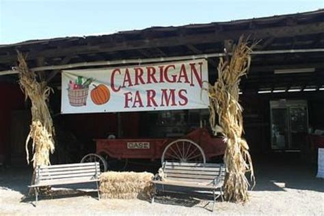 Carly carrigan found with addresses in bartlett, carpentersville and oswego. Carrigan Farms (Mooresville) - 2021 All You Need to Know ...