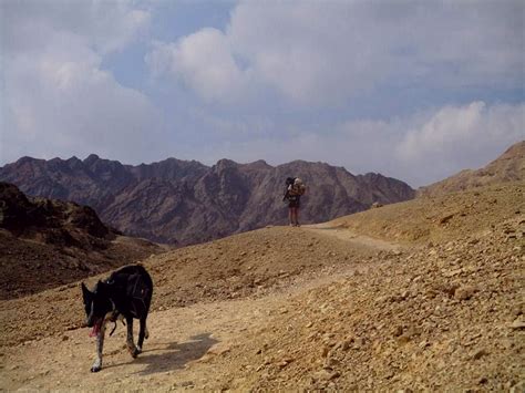 Day 4 On The Shvil Israel Der Israel National Trail