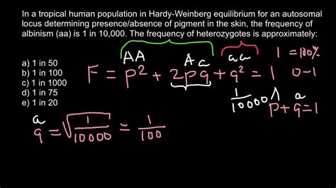 P added to q always equals one (100%). Simple Hardy-Weinberg problem - YouTube