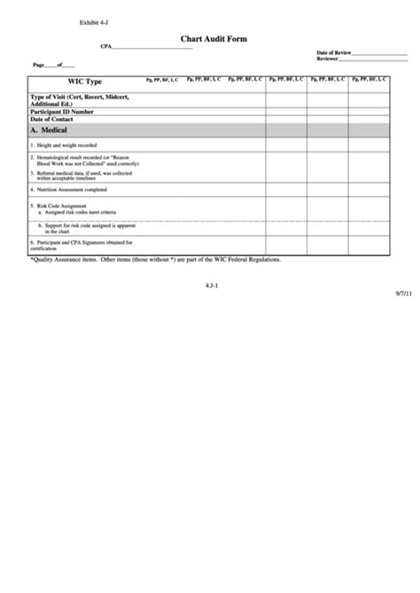 Medical Chart Audit Template