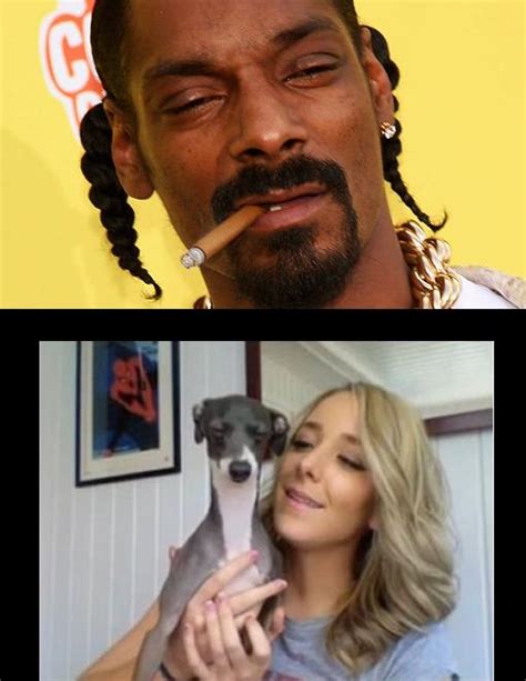 Jennamarbles Dog Looks Like Snoop Dogg Fixed Funny