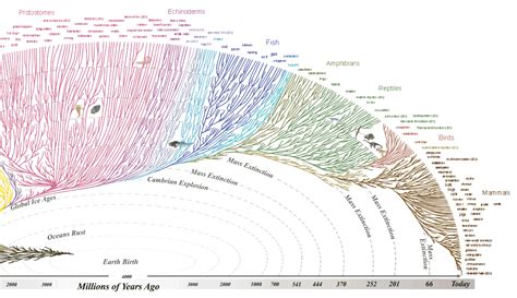 Interactive Tree Of Life Explorer Click Around Sic Science