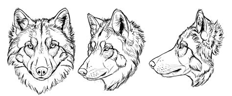 Wolf lineart by hymnsie on deviantart. SketchBook Original: How to Draw Wolves - Monika Zagrobelna