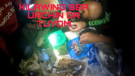 Episode 7 Night Diving Hunting Sea Urchin Ang Sarap Sa Kilawin Kapag