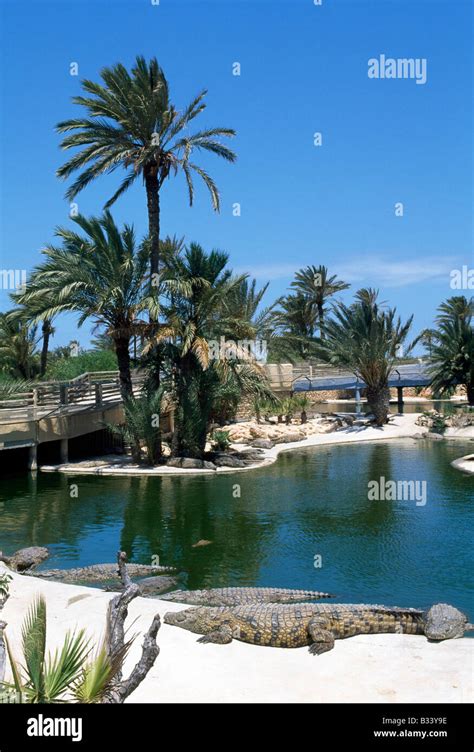 Explora Park Djerba Island Tunisia Stock Photo Alamy
