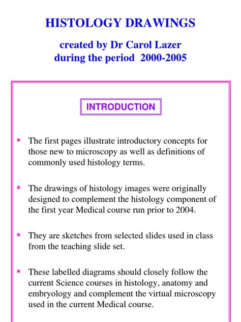 Histology Drawings Pdf Pdf Epithelium Bone