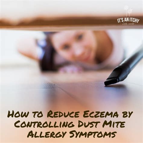 How To Reduce An Eczema Dust Mite Allergy Rash