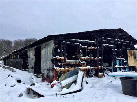 30 Calves Killed In Barn Fire In Holland Newport Dispatch