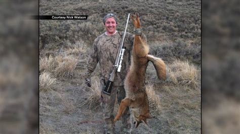 Wildlife Officials Say More Than 7000 Coyote Bounties Claimed In Utah