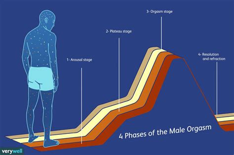 Understanding The Male Orgasm And Arousal Dynsfunction