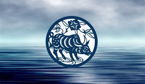 Key Traits Of The Water Ox Chinese Zodiac Sign