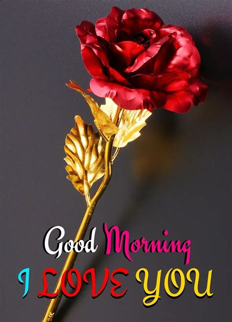 I Love You Images With Rose In 2020 Good Morning Flowers Good Morning Images Flowers Good