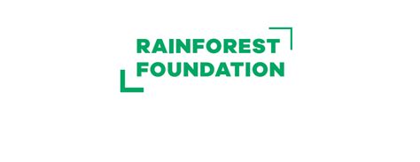 Rainforest Foundation Verantwortung Consileon