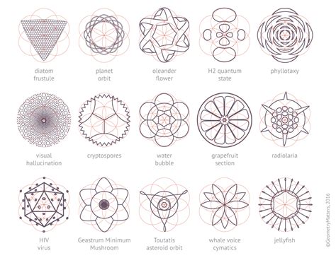 Geometry Matters — Various Nature Elements That Abide By Geometric