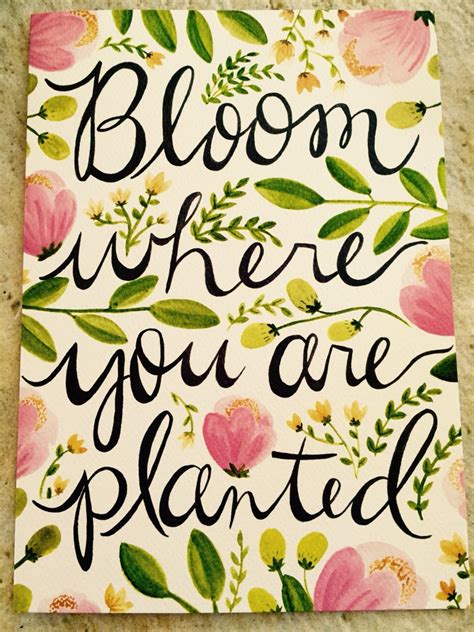 Bloom Where You Are Planted Bloom Where You Are Planted Flower