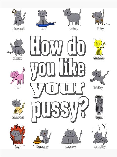 Howd You Like Your Pussy Poster For Sale By Phoebekoss Redbubble