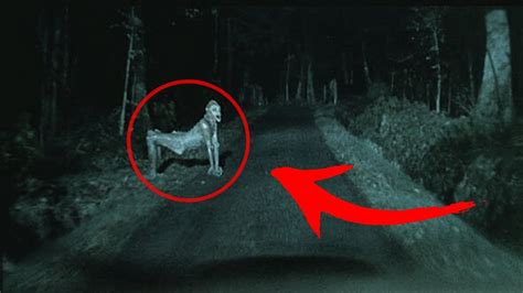 Top Strange Freaky Creatures Caught On Camera Youtube