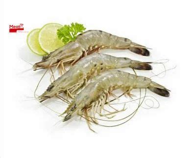 Shrimp Live Shrimps Prawn Retailers In India