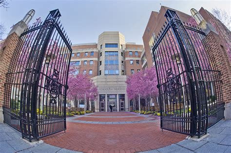 University Of Maryland Baltimore University Of Maryland School Of