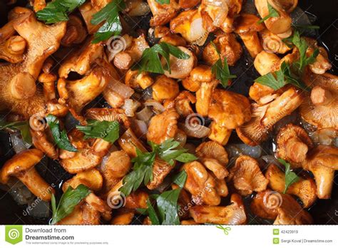 Champignons De Chanterelle De Fond Dans Un Macro De Poêle Image stock