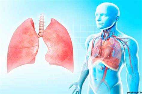 Tips For Healthy Respiratory System