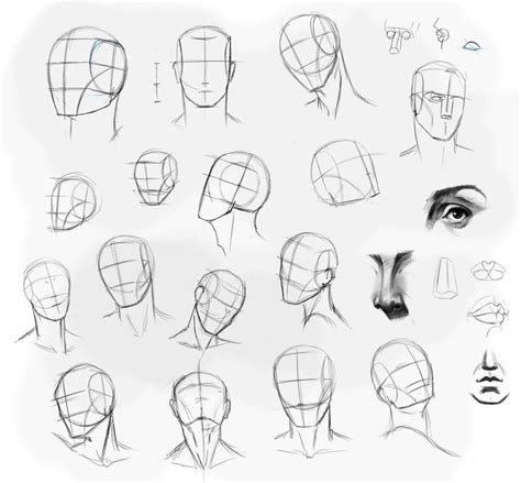 Resultado De Imagen Para Formas De Rostros Dibujo Dibujar Cabezas