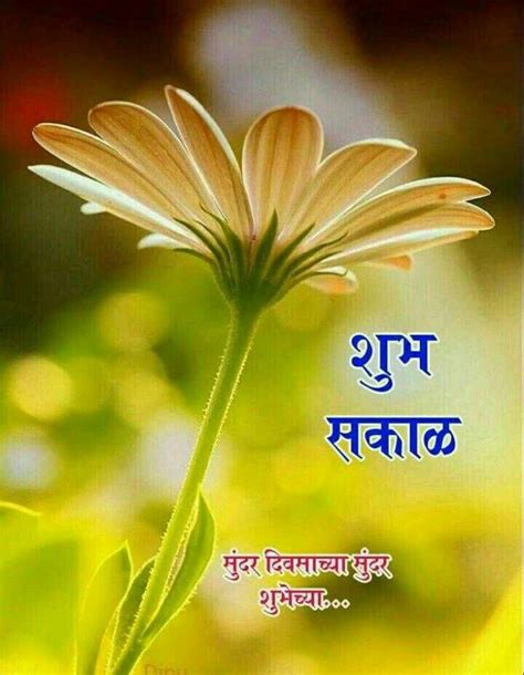 मराठी Good Morning Images In Marathi For Whatsapp Free Download