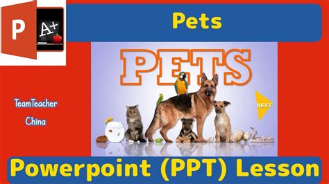Pets Vocabulary Tefl Powerpoint Lesson Plan Classroom Ppt Games Youtube