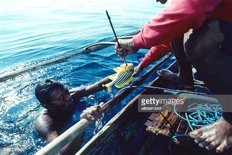 Badjao Fisherman Photos And Premium High Res Pictures Getty Images