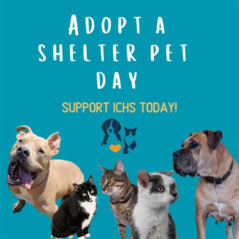 Adopt A Shelter Pet Day