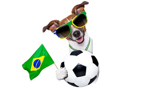 3840x2400 Fifa World Cup Brazil 2014 Uhd 4k 3840x2400 Resolution