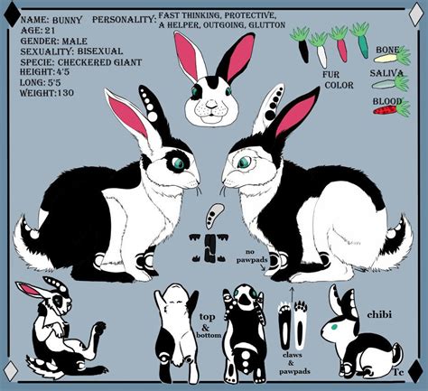 Bunny Reference Sheet By Wolfdragon14 On Deviantart