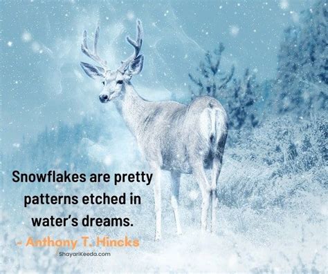 60 Snow Quotes Beautiful Quotes About Snow And Winter Images