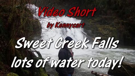 Sweet Creek Falls Mapleton Oregon Lots Of Water Today Youtube