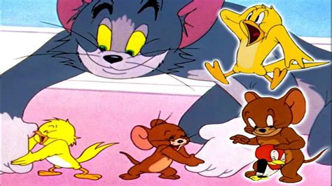Tom And Jerry Classic Cartoon Compilation Crazy Transformation Tom