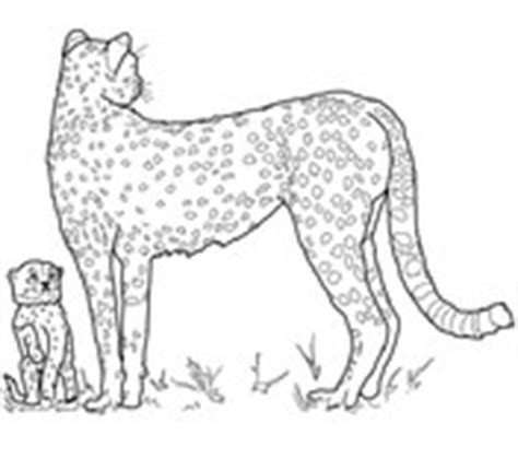 Have a peek at our special selection of easter eggs and bunny coloring pages free of charge. Cheetah coloring pages | Free Coloring Pages