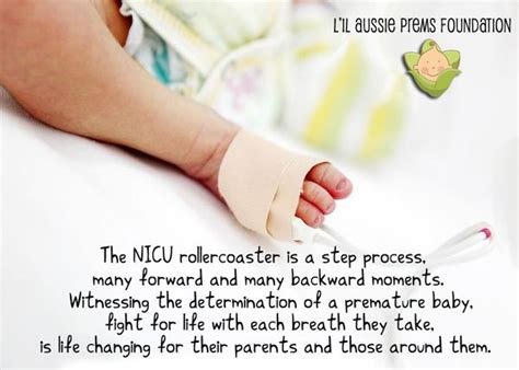 The Nicu Rollercoaster Is A Step Process Many Forward And Backwards