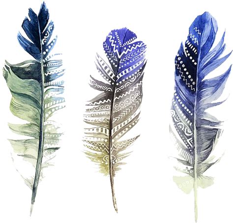 Watercolor Feather Transparent Background Png Mart