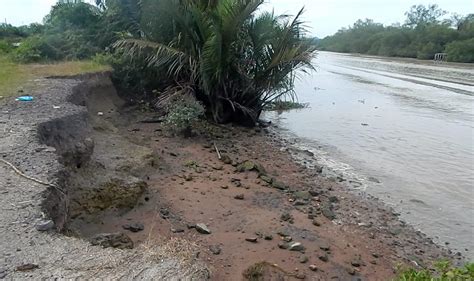 Sungai Kerian River Bank Erosion Must Be Addressed Immediately