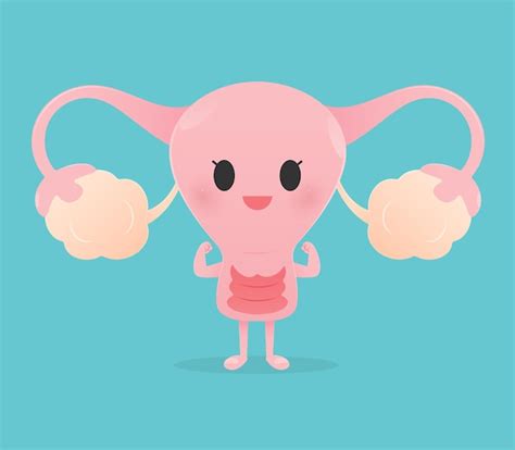 Premium Vector The Strength Of The Uterus Cartoon And Vector Illustration Design Character