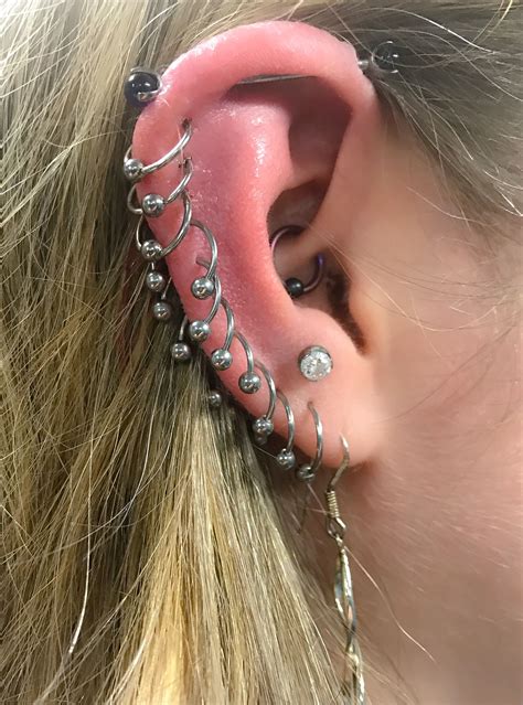 Pin By Amy Boge On Piercings Pretty Ear Piercings Piercings Cool