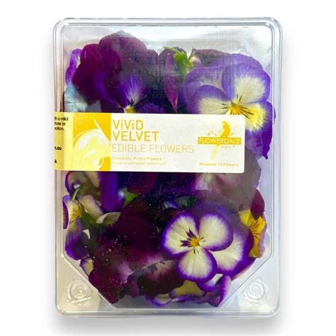 Edible Flowers Pansy Vivid Velvet By Flowerdale Farm Biviano Direct