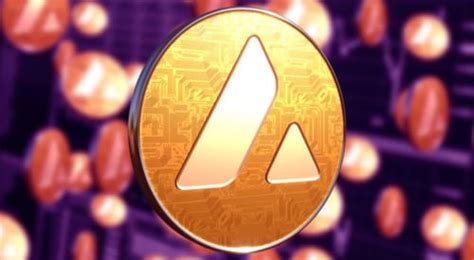 Avalanche Reveals New Meme Coin Guidelines Cryptowisser News