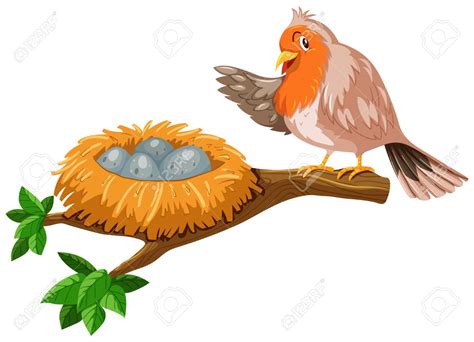 Robin Nest Clipart 10 Free Cliparts Download Images On Clipground 2024