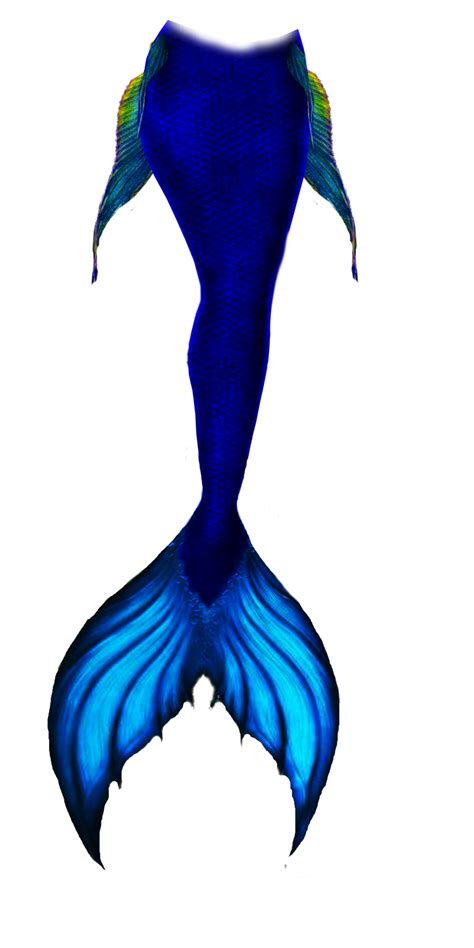 Mermaid Fin Png Free Logo Image