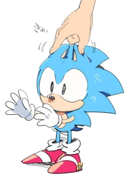 Oh My Goodness Too Cute Sonic The Hedgehog Hedgehog Art Shadow The