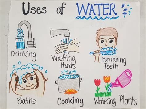 Uses Of Water 1st Grade Teks Anchor Chart Water Crafts Preschool