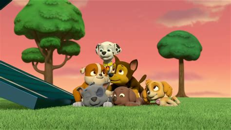 Rocky Gallery Mission Paw Pups Save The Princess Pals Paw Patrol Wiki Fandom