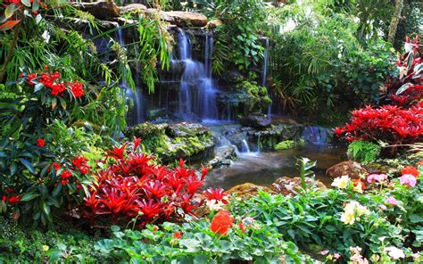 Red Flowers At The Waterfall Wallpapers And Images