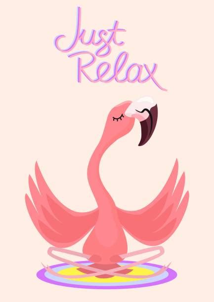 Best Funny Flamingo Silhouette Illustrations Royalty Free